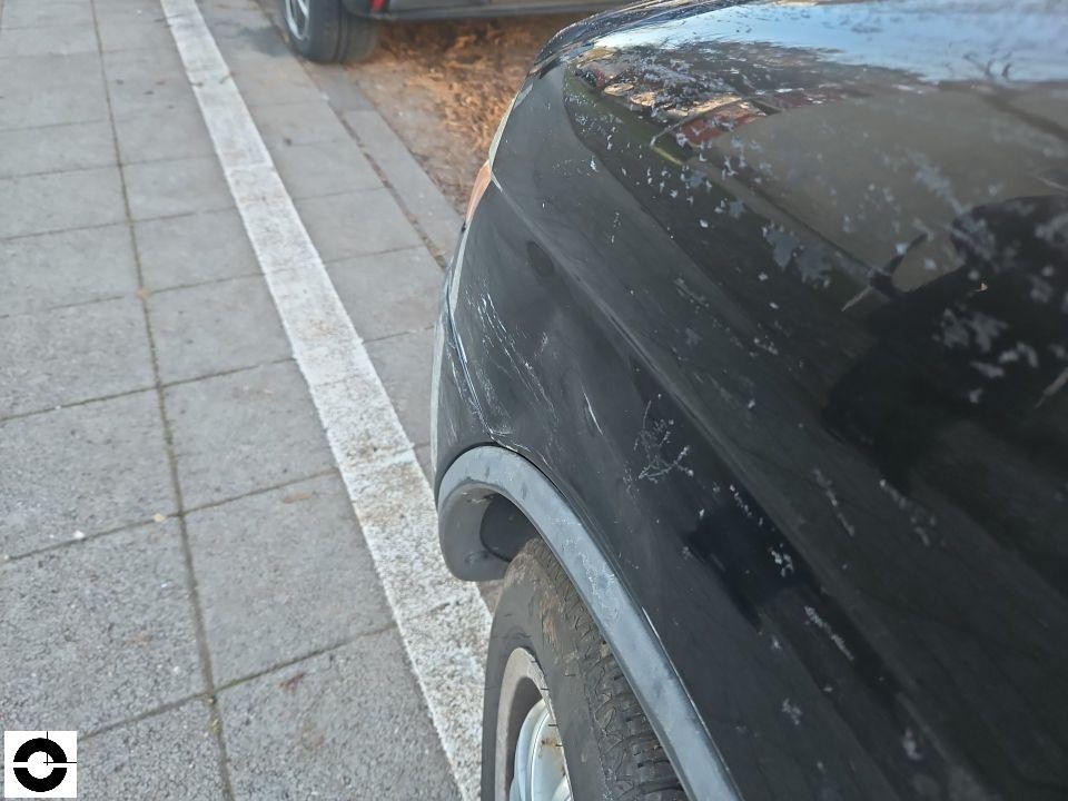 Hinterer linker Kotflügel mit Kratzern und Vogelkot, Radlauf sichtbar